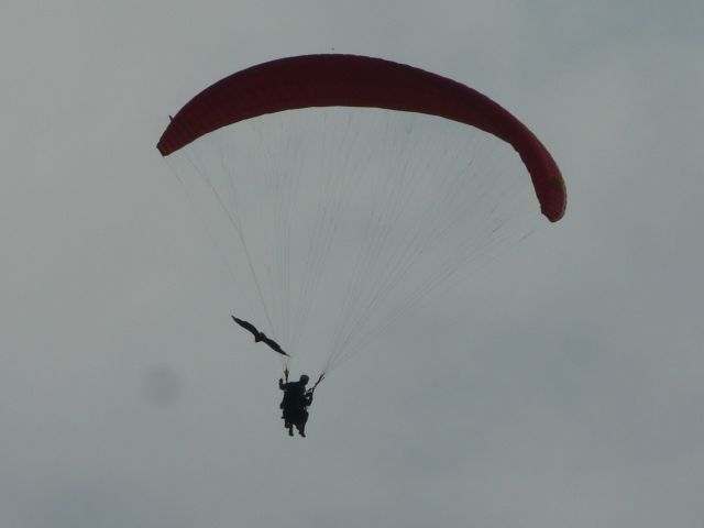 Coupe Icare 2008  037.JPG